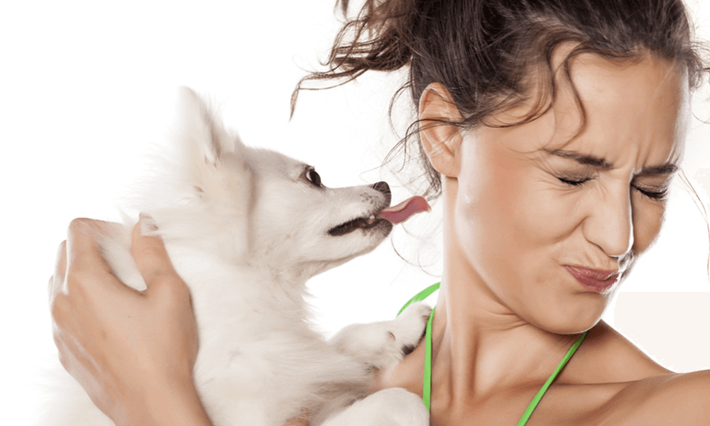 Read more about the article Bad Dog Breath (Halitosis). Causes and 7 Homemade Remedies That Work