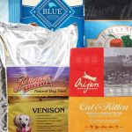 Low Protein Dog Foods: Are They Healthy For Your Pet?