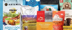 Read more about the article Top 7 Best Low Protein Dog Foods. (Kidney or liver problems)