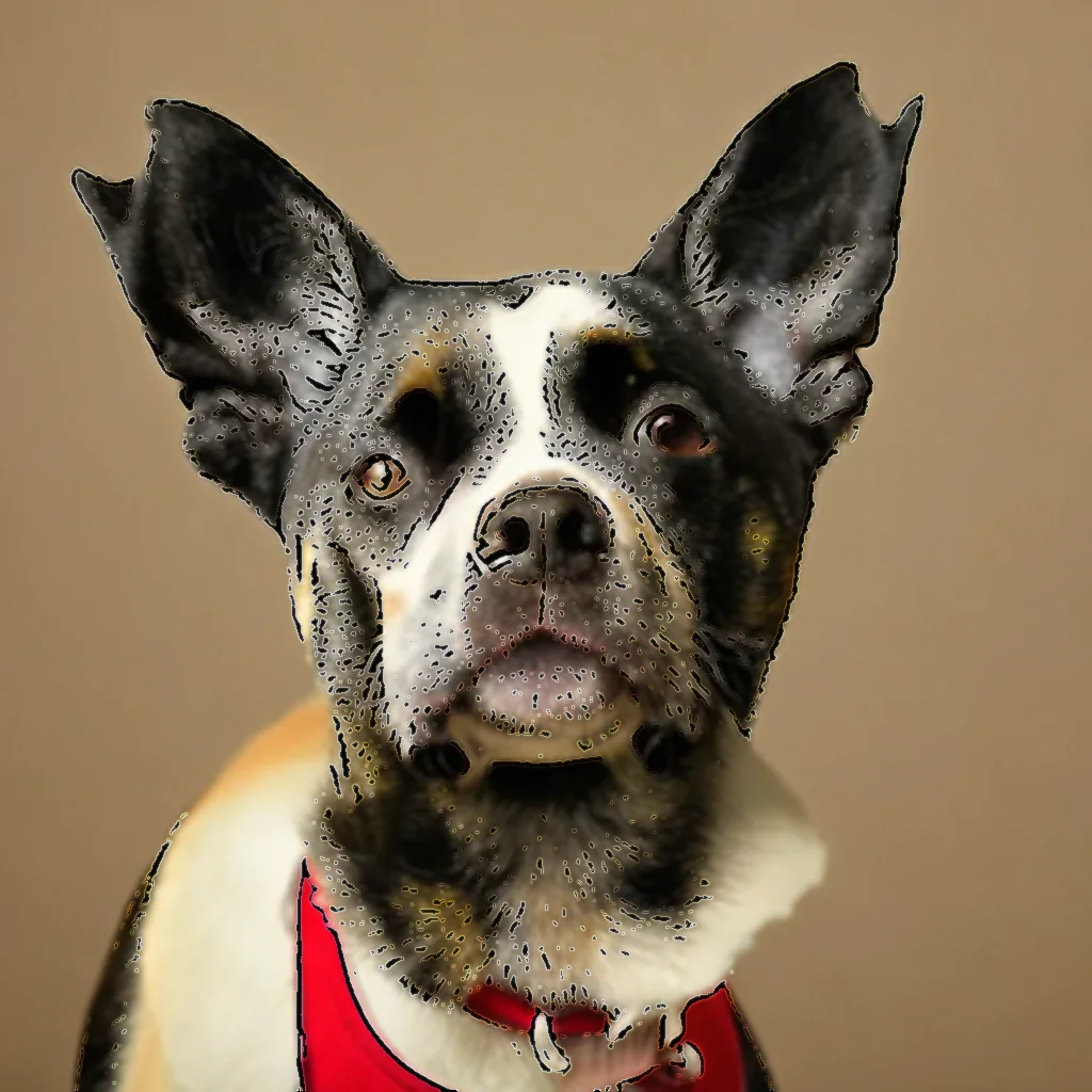 You are currently viewing RUFF ! New Jersey One of the Most Expensive States to Own a Dog?