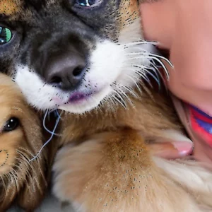 Read more about the article Should You Get A Pet Nup ? How The Law Deals With Your Fur Baby If You Break Up With Your Partner?