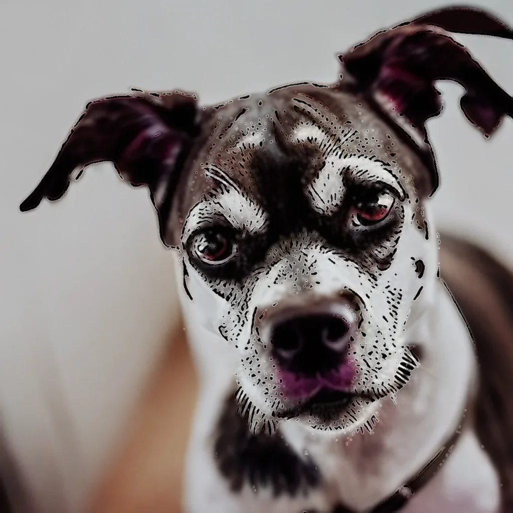 You are currently viewing What to know about estate planning for your pet?