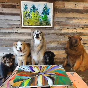 Read more about the article Carolina Moment : Rescue Ranch provides  furever  homes to animals in need