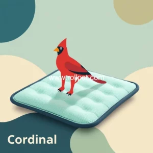 Read more about the article Exploring the Latest Trends and Innovations in the Washable Pet Pee Pad Market : A Comprehensive Guide  Cardinal Courier