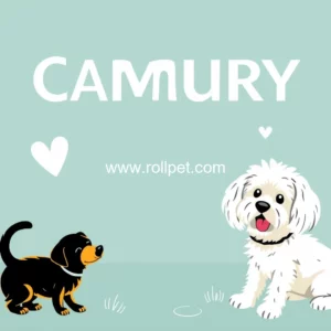 Read more about the article Community dog grooming facility to open in Widemarsh Common