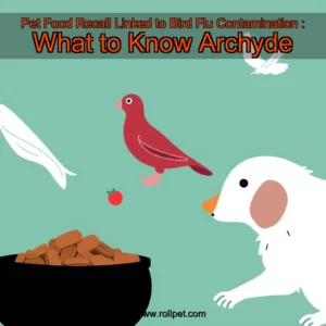 Read more about the article Pet Food Recall Linked to Bird Flu Contamination : What to Know  Archyde