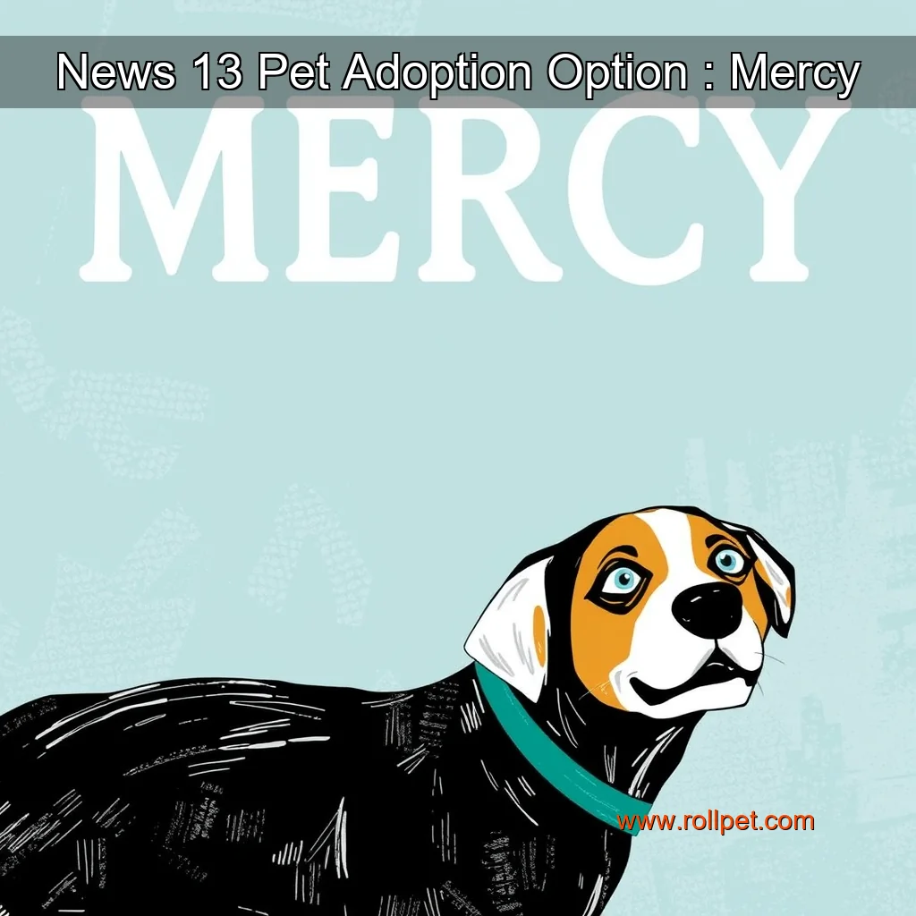 You are currently viewing News 13 Pet Adoption Option : Mercy