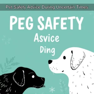 Read more about the article Pet Safety Advice During Uncertain Times