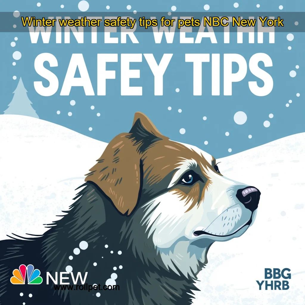 You are currently viewing Winter weather safety tips for pets  NBC New York