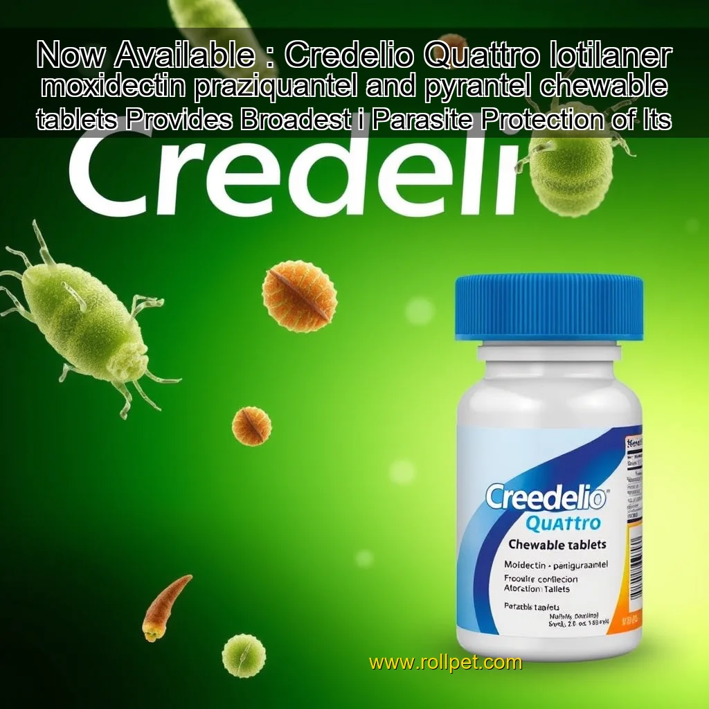 You are currently viewing Now Available : Credelio Quattro  lotilaner  moxidectin  praziquantel  and pyrantel chewable tablets  Provides Broadest  i  Parasite Protection of Its Kind