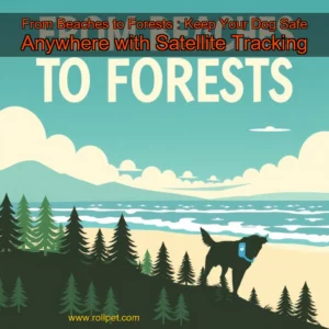 Read more about the article From Beaches to Forests : Keep Your Dog Safe Anywhere with Satellite Tracking