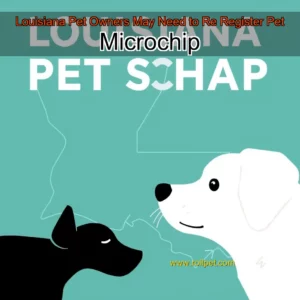 Read more about the article Louisiana Pet Owners May Need to Re  Register Pet Microchip