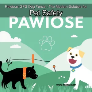 Read more about the article Pawious GPS Dog Fence : The Modern Solution for Pet Safety