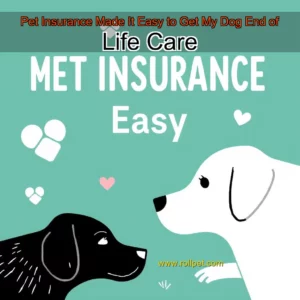Read more about the article Pet Insurance Made It Easy to Get My Dog End  of  Life Care