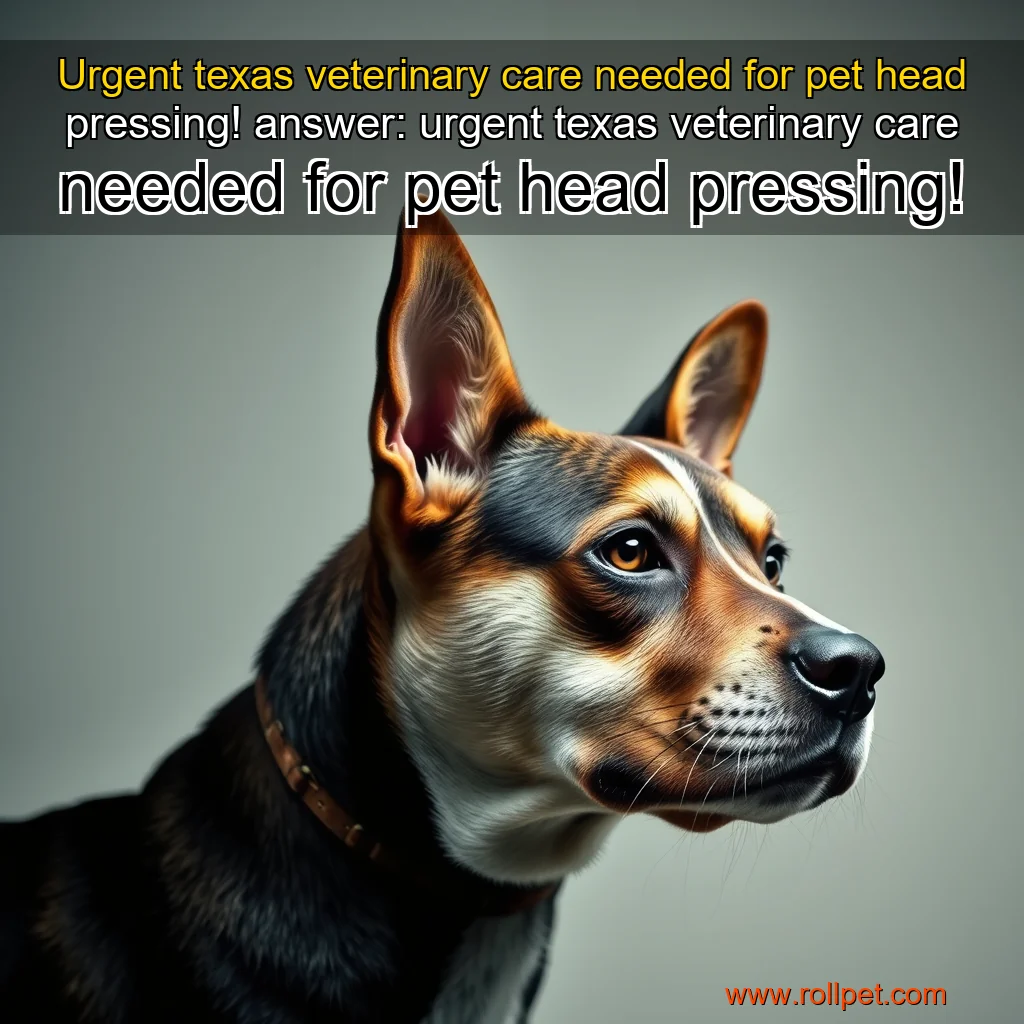 You are currently viewing Urgent texas veterinary care needed for pet head pressing!


 answer: urgent texas veterinary care needed for pet head pressing!