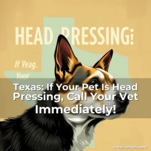 Read more about the article Texas: If Your Pet Is Head Pressing, Call Your Vet Immediately!