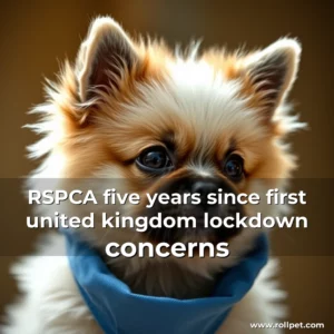 Read more about the article RSPCA five years since first united kingdom lockdown concerns