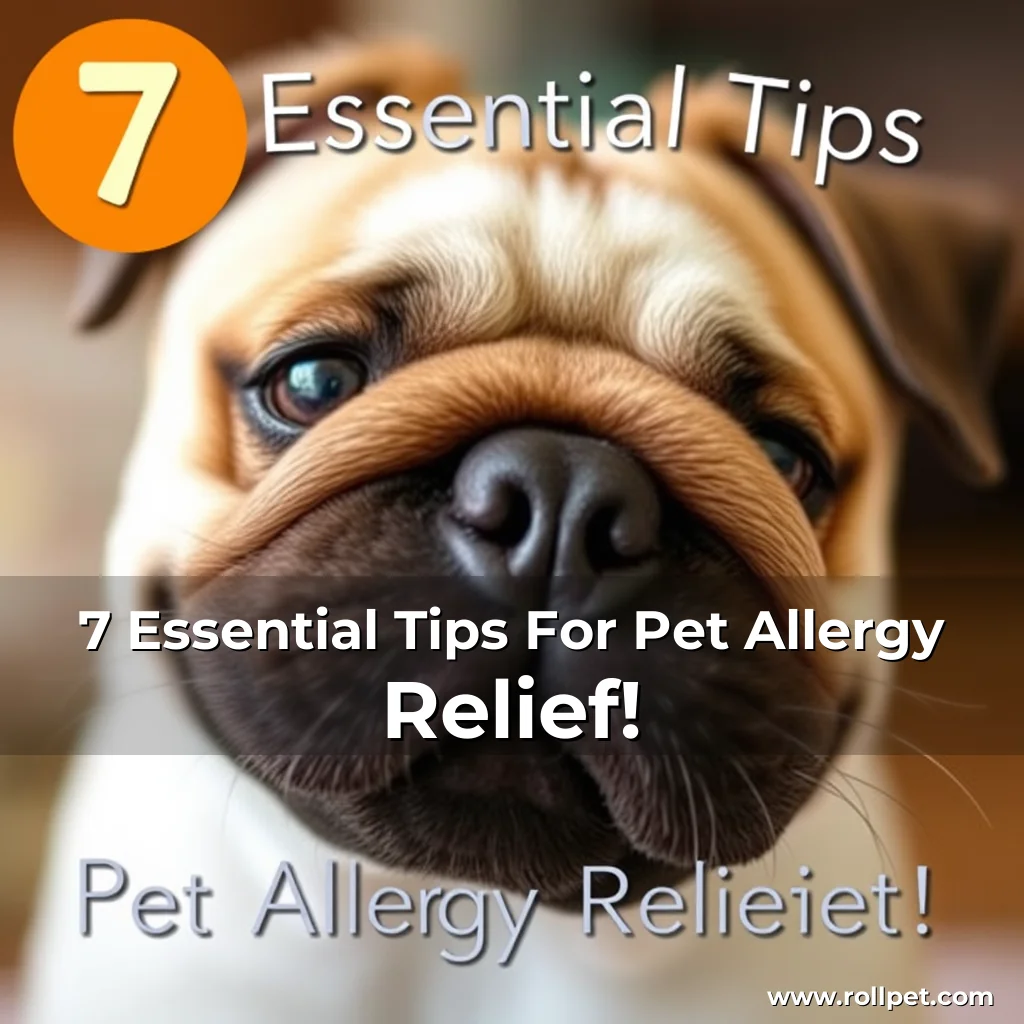 You are currently viewing 7 Essential Tips For Pet Allergy Relief!