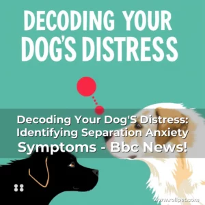 Read more about the article Decoding Your Dog’S Distress: Identifying Separation Anxiety Symptoms – Bbc News!