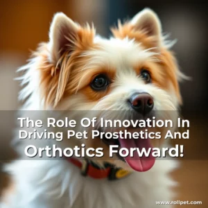 Read more about the article The Role Of Innovation In Driving Pet Prosthetics And Orthotics Forward!