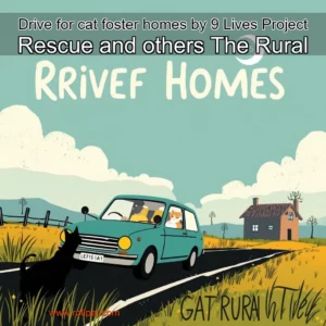 Artistic representation for Drive for cat foster homes by 9 Lives Project Rescue and others The Rural