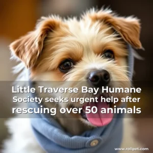 Artistic representation for Little Traverse Bay Humane Society seeks urgent help after rescuing over 50 animals