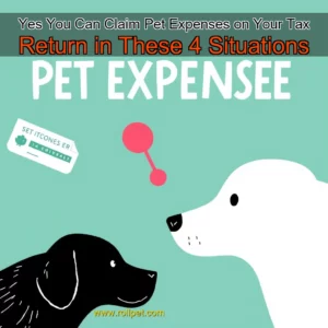 Artistic representation for Yes You Can Claim Pet Expenses on Your Tax Return in These 4 Situations