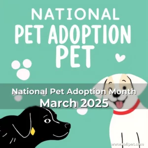 Read more about the article National Pet Adoption Month  March 2025