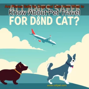 Read more about the article Are Planes Safe for Dogs and Cats  Here What to Know About Pet Travel