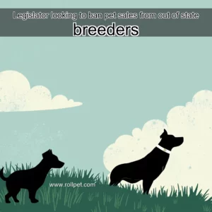 Read more about the article Legislator looking to ban pet sales from out  of  state breeders