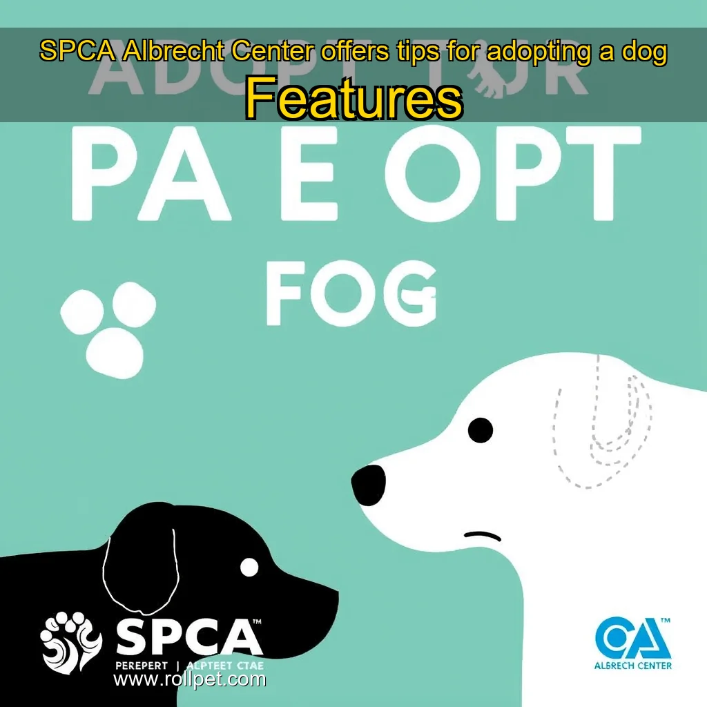 You are currently viewing SPCA Albrecht Center offers tips for adopting a dog  Features