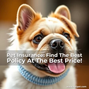 Read more about the article Pet Insurance: Find The Best Policy At The Best Price!