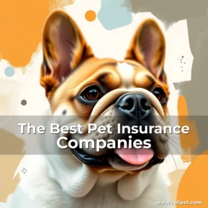 Read more about the article The Best Pet Insurance Companies
