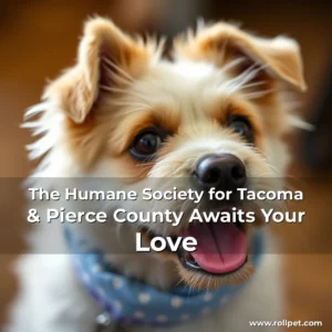 Read more about the article The Humane Society for Tacoma & Pierce County Awaits Your Love