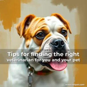 Read more about the article Tips for finding the right veterinarian for you and your pet