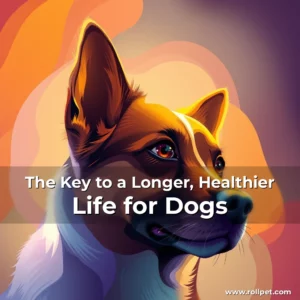 Artistic representation for The Key to a Longer, Healthier Life for Dogs