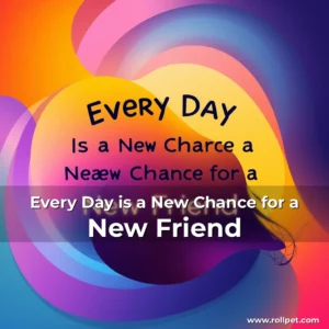 Artistic representation for Every Day is a New Chance for a New Friend