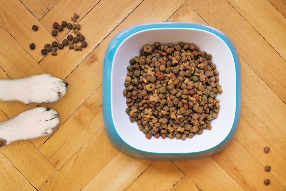 You are currently viewing Low Protein Dog Foods: Are They Healthy For Your Pet?